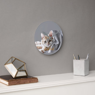Pet Cute Cat  Round Clock