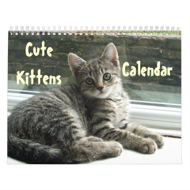 Pet Cute Kitten Cat Peace Love Destiny Calendar (Cover)