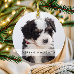 Pet Define Naughty | Photo Christmas Tree Ornament