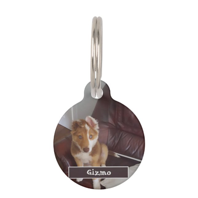Pet Details and Photo ID Tag (Front)