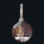 Pet Details and Photo Pet ID Tag<br><div class="desc">Pet Details and Photo Pet tag... ... personalize item by Photo Name and Details
... ..More Products Available - https://www.zazzle.co.uk/store/limitlesscreativity</div>