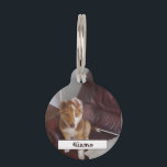 Pet Details and Photo Pet ID Tag<br><div class="desc">Pet Details and Photo Pet tag... ... personalize item by Photo Name and Details
... ..More Products Available - https://www.zazzle.co.uk/store/limitlesscreativity</div>