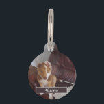 Pet Details and Photo Pet ID Tag<br><div class="desc">Pet Details and Photo Pet tag... ... personalize item by Photo Name and Details
... ..More Products Available - https://www.zazzle.co.uk/store/limitlesscreativity</div>
