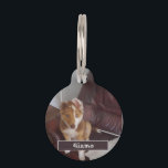 Pet Details and Photo Pet ID Tag<br><div class="desc">Pet Details and Photo Pet tag... ... personalize item by Photo Name and Details
... ..More Products Available - https://www.zazzle.co.uk/store/limitlesscreativity</div>