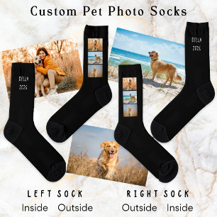 Pet Dog 3-Photo Collage Name Year Black Socks