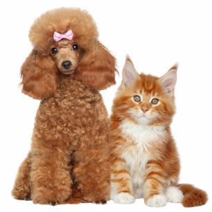 Pet Dog and Cat Photo Sculpture Cutout