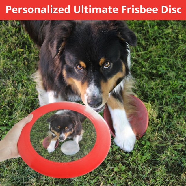 Pet Dog Canine Wham-O Frisbee (dog canine Personalized Ultimate Frisbee Disc photo)