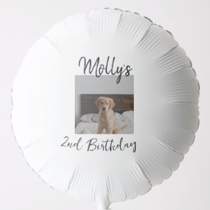 Pet dog cat animal birthday photo modern simple balloon