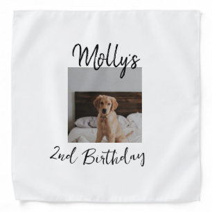 Pet dog cat animal birthday photo modern simple  bandana