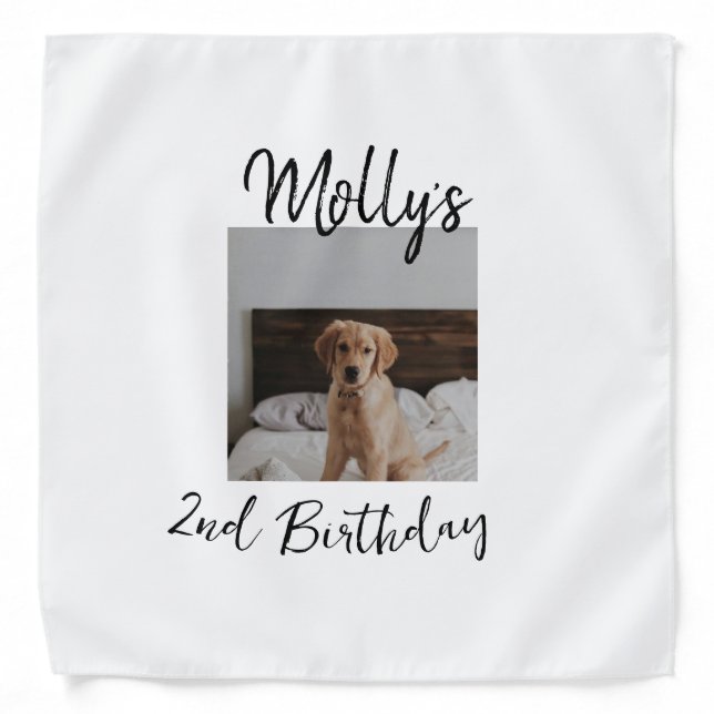 Pet dog cat animal birthday photo modern simple  bandana (Front)