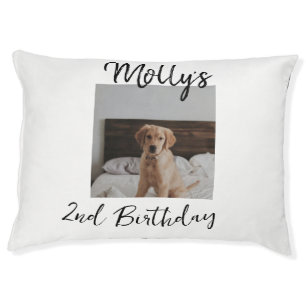 Pet dog cat animal birthday photo modern simple bed
