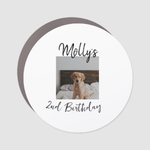 Pet dog cat animal birthday photo modern simple  car magnet