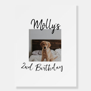 Pet dog cat animal birthday photo modern simple foam board