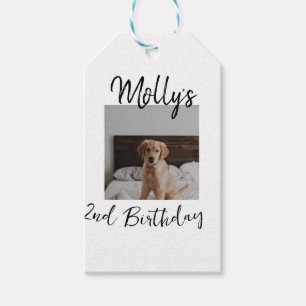 Pet dog cat animal birthday photo modern simple  gift tags