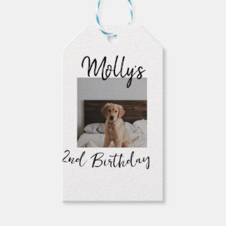 Pet dog cat animal birthday photo modern simple gift tags