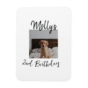 Pet dog cat animal birthday photo modern simple magnet