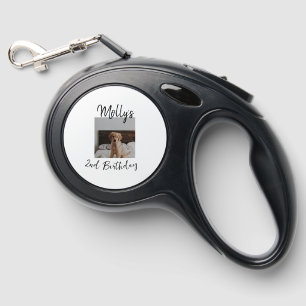 Pet dog cat animal birthday photo modern simple  retractable pet leash 
