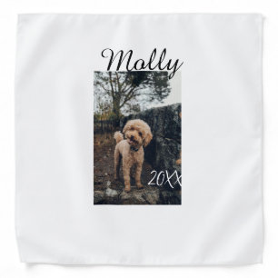 Pet dog cat animal birthday photo modern year date bandana