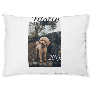 Pet dog cat animal birthday photo modern year date bed