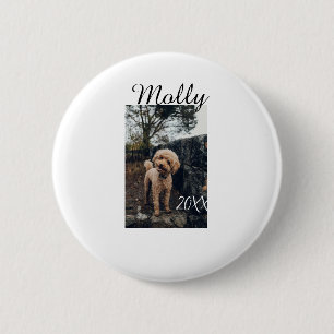 Pet dog cat animal birthday photo modern year date button