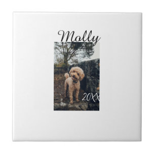 Pet dog cat animal birthday photo modern year date ceramic tile