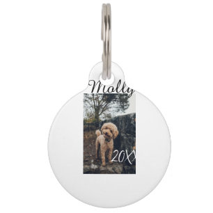 Pet dog cat animal birthday photo modern year date ID tag