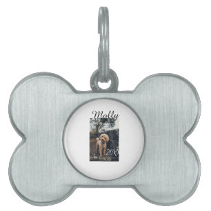 Pet dog cat animal birthday photo modern year date ID tag