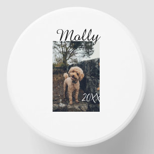 Pet dog cat animal birthday photo modern year date mini candle favors