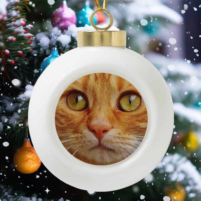 Pet Dog Cat Custom Photo Ceramic Ball Christmas Ornament (Creator Uploaded)