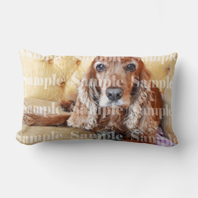 Pet dog cat family photo | Personalize Lumbar Pillow (Front)