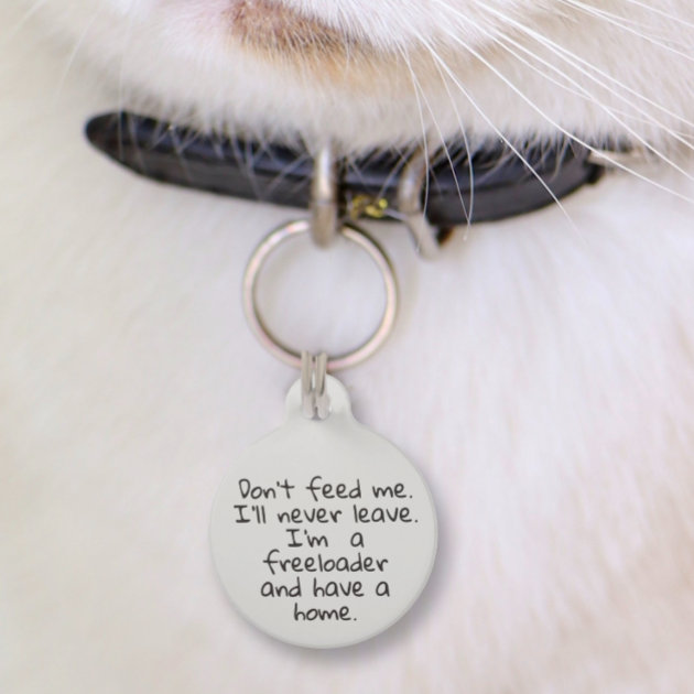 Funny cat shop collar tags