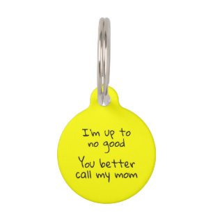 Pet Dog Cat Funny Humor ID Fluorescent Tag