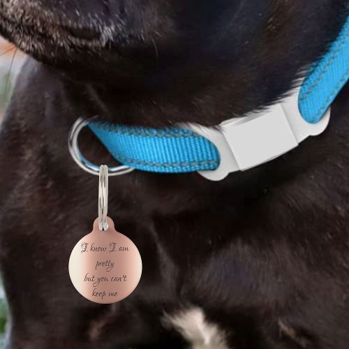 Pet Dog Cat Funny Humor Pretty Rose Gold  ID Lost Pet ID Tag