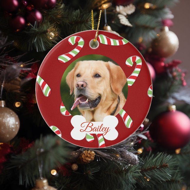 Pet Dog Cat Holiday Customize Photo Candy Cane Ceramic Ornament (Creator Uploaded)