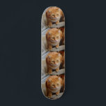 Pet Dog Cat Photo Custom Tiled Template Skateboard<br><div class="desc">This design may be personalized in the area provided by changing the photo and/or text. Or it can be customized by choosing the click to customize further option and delete or change the color of the background, add text, change the text color or style, or delete the text for an...</div>
