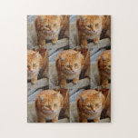 Pet Dog Cat Photo Fun Personalize Custom Jigsaw Puzzle<br><div class="desc">This design was created through digital art. It may be personalized by clicking the customize button and changing the color, adding a name, initials or your favorite words. Contact me at colorflowcreations@gmail.com if you with to have this design on another product. Purchase my original abstract acrylic painting for sale at...</div>