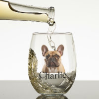 Pet Dog Cat Photo Personalized Stemless Wine Glass