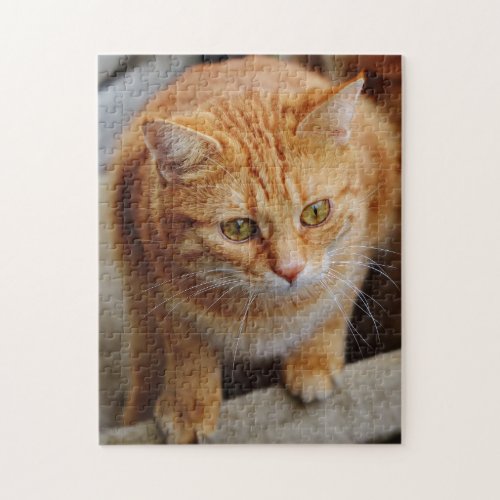 Pet Dog Cat Photo Template Fun Personalize Custom Jigsaw Puzzle