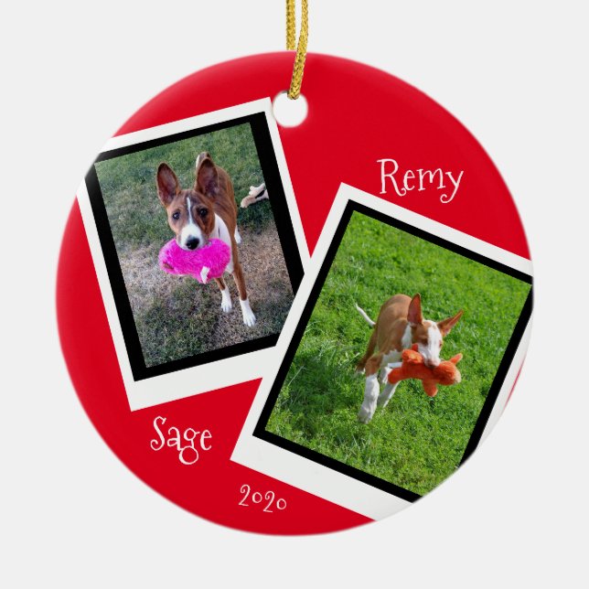 Pet Dog cat Photo Template Personalize Ceramic Ornament (Front)