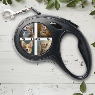 Pet Dog Cat Photos Template Personalized Retractable Pet Leash