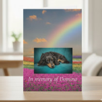 Pet Dog Cat Rainbow Bridge Sympathy Photo Custom Card