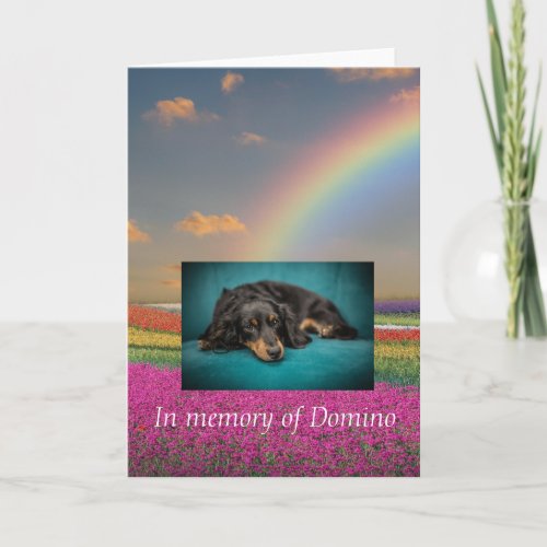 Pet Dog Cat Rainbow Bridge Sympathy Photo Custom Card