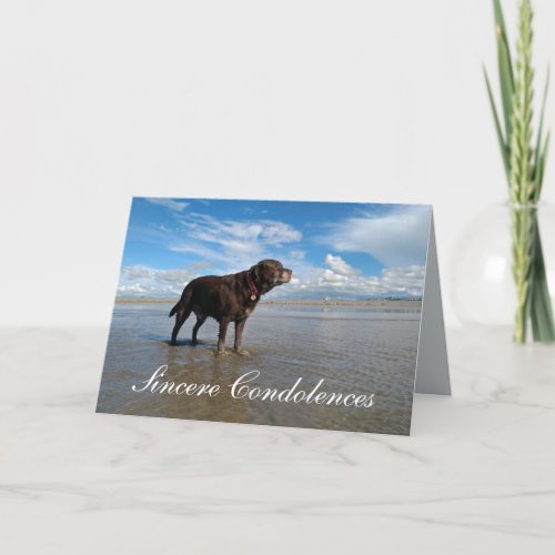 Pet Dog Condolence card