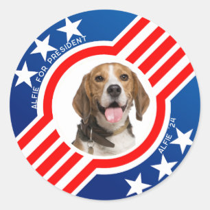 Pet Dog for President Photo USA Elections 2024 Classic Round Sticker