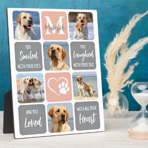Pet Dog Memorial Custom Modern Colors 6 Photo  Plaque