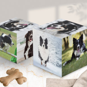 Pet Dog Multi Photo Custom Display Cube