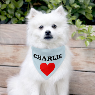 Pet DOG or CAT CUSTOM PERSONALIZED NAME Bandana Collar