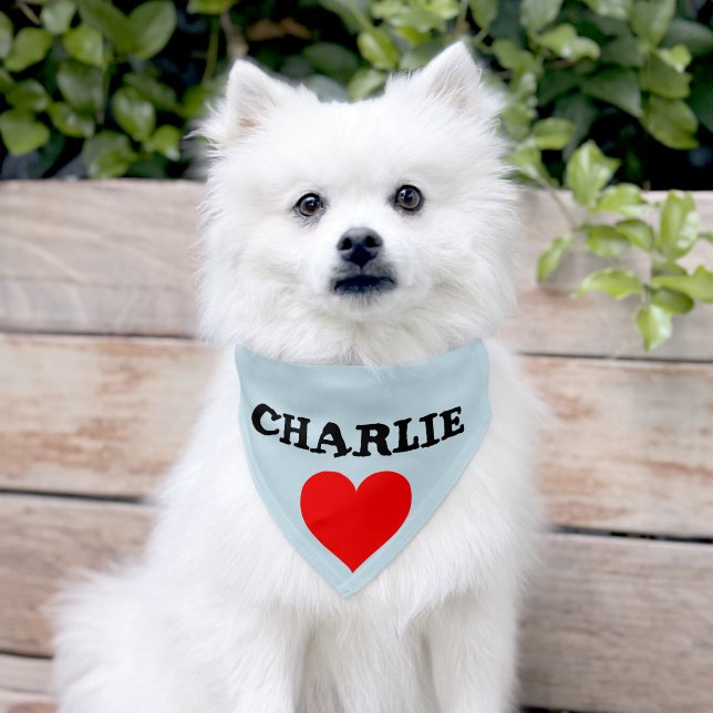 Pet DOG or CAT CUSTOM PERSONALIZED NAME Bandana Collar (Dog)