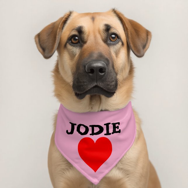 Pet DOG or CAT CUSTOM PERSONALIZED NAME Bandana Collar (Dog 2)