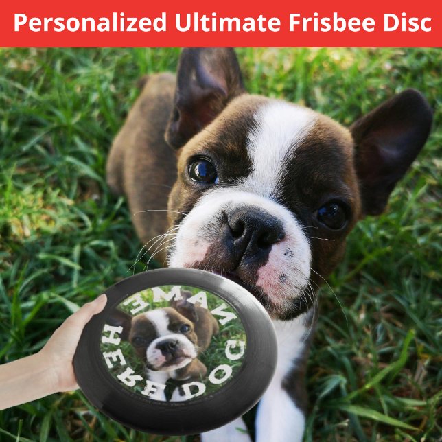 Pet Dog Photo and Name Wham-O Frisbee (ultimate frisbee flying disk photo name dog)